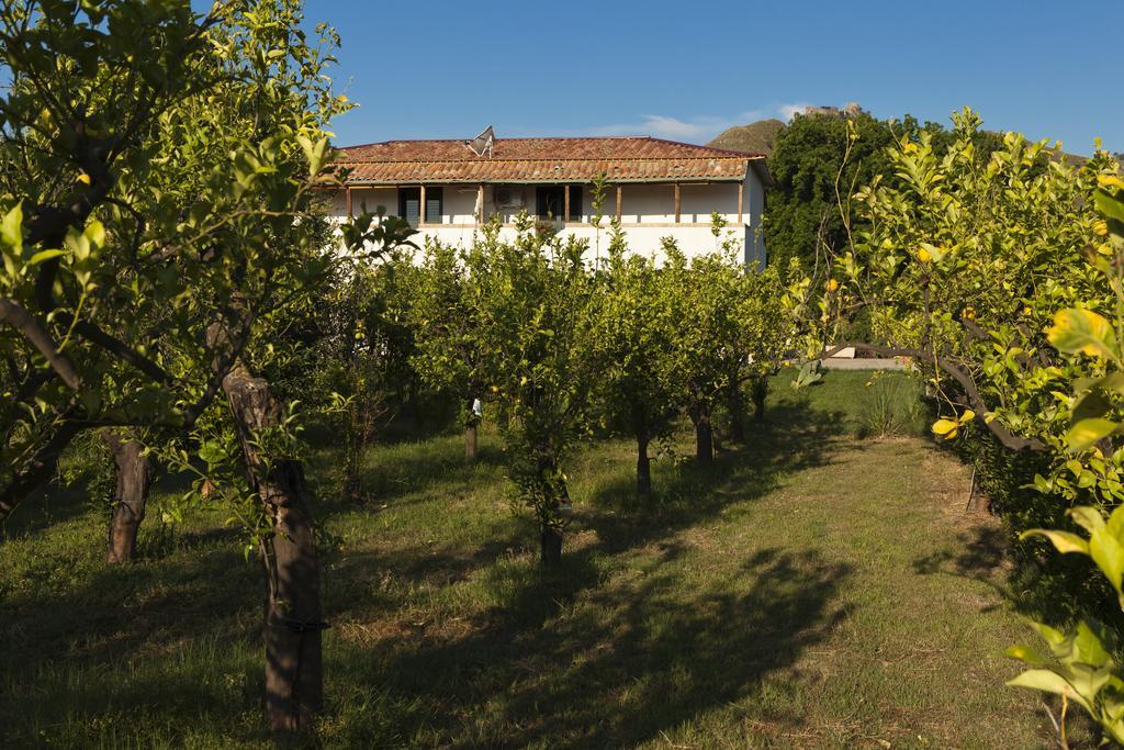 Agriturismo Terrenia Villa Trappitello Exterior foto