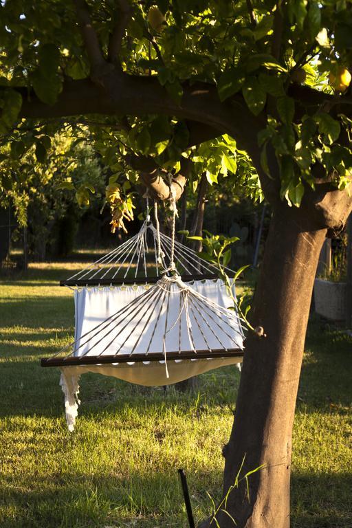 Agriturismo Terrenia Villa Trappitello Exterior foto